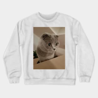 Emma The Cat Crewneck Sweatshirt